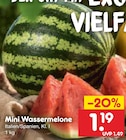 Netto Marken-Discount Handewitt - Mini Wassermelone Angebot im Prospekt Mini Wassermelone bei Netto Marken-Discount im Handewitt Prospekt für 1,19 €