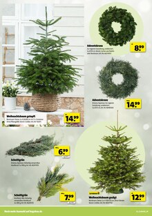 Adventskranz im aktuellen Hagebaumarkt Prospekt (Mainz) Adventskranz im Hagebaumarkt Prospekt "VERSCHÖNERE MIT UNS DEINEN GARTEN" mit 16 Seiten (Mainz)