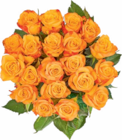 Aktuelles Edelrosen Angebot bei Netto Marken-Discount in Bremen ab 5,55 €