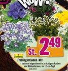 Hornbach Essen Prospekt mit  im Angebot für 2,49 €