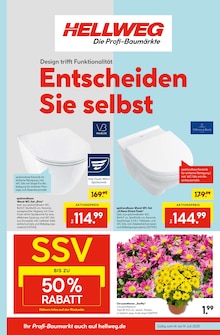 Blumen Angebot im aktuellen Hellweg Prospekt auf Seite 1