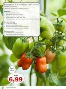 Tomaten im aktuellen Garten-Center Nordharz GmbH & Co. KG Prospekt (Hannover) Tomaten im Garten-Center Nordharz GmbH & Co. KG Prospekt "Blumengarten" mit 26 Seiten (Hannover)