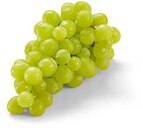 Trauben hell im Angebot bei Netto Marken-Discount in Ulm Trauben hell Angebote bei Netto Marken-Discount Ulm für 2,99 €