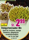 Hornbach Kiel Prospekt mit  im Angebot für 2,99 €