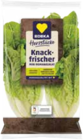 Angebot im EDEKA Frischemarkt Karstädt, Ludwigslust-Parchim Prospekt EDEKA Frischemarkt Karstädt, Ludwigslust-Parchim Prospekt mit im Angebot für 0,99 €