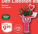 Glasvase mit Topfrose bei GLOBUS im Neustadt Prospekt für 9,99 €