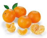 Mandarinen im Angebot bei REWE in Kiel Mandarinen Angebote von REWE Beste Wahl bei REWE Kiel für 2,22 €