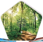 SOUNDS OF NATURE-Box bei Penny im Niesky Prospekt für 14,99 €