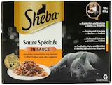 Nassfutter Angebote von Sheba bei Rusta Dessau-Roßlau für 4,99 €
