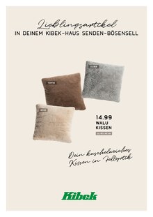 Kissen im Kibek Prospekt "DEIN KIBEK-HAUS SENDEN-BÖSENSELL" mit 35 Seiten (Münster)