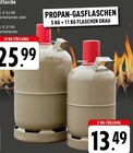 EDEKA Wegberg - Propan-Gasflaschen Angebot im Prospekt Propan-Gasflaschen bei EDEKA im Wegberg Prospekt für 13,49 €