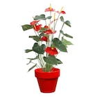 DECOLINES-Pot horticole en terre cuite émaillée Rouge – D25 x H23 en promo chez Botanic DECOLINES-Pot horticole en terre cuite émaillée Rouge – D25 x H23 dans le catalogue Botanic