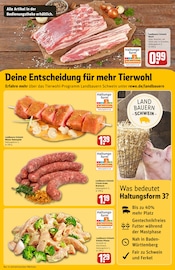 Aktueller REWE Prospekt mit Schweinebauch, "Dein Markt", Seite 13