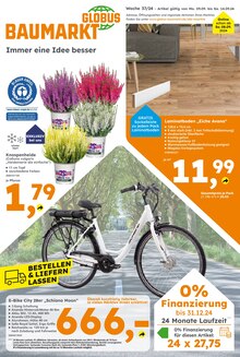 Fahrrad im Globus-Baumarkt Prospekt "Immer eine Idee besser" mit 19 Seiten (Karlsruhe)