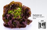 Kopfsalat rot bei E center im Bruchsal Prospekt für 1,49 €