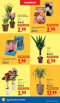 Promotion Phoenix dans le prospectus Lidl, valable du 05/03/2026 au 11/03/2026 Promo Phoenix dans le catalogue Lidl du moment à la page 28