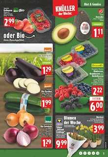 Tulpen im E center Prospekt "Aktuelle Angebote" mit 28 Seiten (Mönchengladbach)