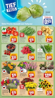 Tomaten im aktuellen REWE Prospekt (Duisburg) Tomaten im REWE Prospekt "Dein Markt" mit 35 Seiten (Duisburg)