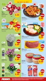 Bio Zwiebel Angebote im Prospekt "Wer günstig will, muss Penny." von Penny auf Seite 30