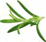 Rinderfilet Angebote bei EDEKA Stade für 4,99 €