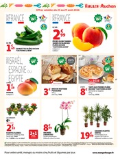 Promos Plantes dans le catalogue "LA RENTRÉE À PRIX K.O." de Auchan Hypermarché Plantes en promo dans le catalogue Auchan Hypermarché à la page 17