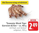 Seawater Black Tiger Garnelen im Angebot bei E center in Neu-Ulm Seawater Black Tiger Garnelen Angebote bei E center Neu-Ulm für 2,49 €