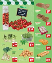 Aktueller famila Nordost Prospekt mit Kartoffeln, "besser als gut!", Seite 5