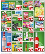 Stern Angebote im Prospekt "Aktuelle Angebote" von Kaufland Stern Angebote im Prospekt "Aktuelle Angebote" von Kaufland auf Seite 23