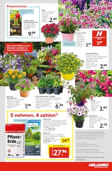 Blumenerde im Hellweg Prospekt "Die Profi-Baumärkte" mit 28 Seiten (Essen)