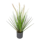 DEKOGRAS von Ambia Home im aktuellen XXXLutz Prospekt für 6,99 €