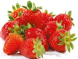 Erdbeeren von GO Regio für 2,49 € bei Netto mit dem Scottie im Angebot Erdbeeren von GO Regio im aktuellen Netto mit dem Scottie Prospekt