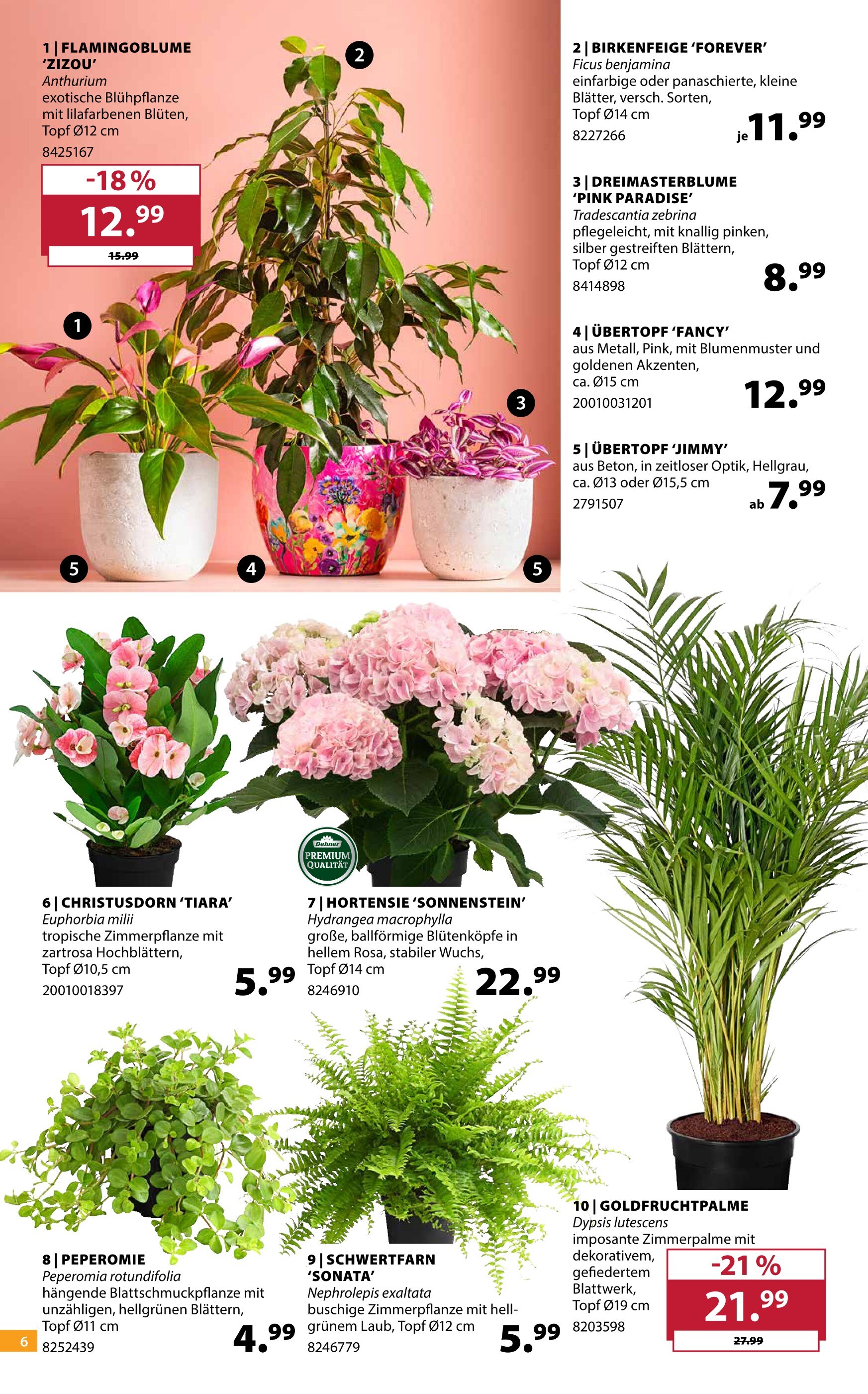 4 Palme Angebote in Essen - jetzt gnstig kaufen!