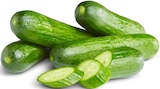 Mini-Gurken im aktuellen Penny Prospekt für 2,29 €