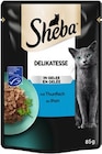 Katzennahrung Btl. im Angebot bei REWE in Wiesbaden Katzennahrung Btl. Angebote von Sheba bei REWE Wiesbaden für 0,49 €