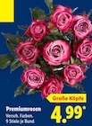 Premiumrosen im aktuellen Lidl Prospekt