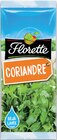 Coriandre - FLORETTE dans le catalogue Intermarché Express