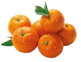 Bio Mandarinen Angebote von REWE BIO bei REWE Hildesheim für 2,29 €