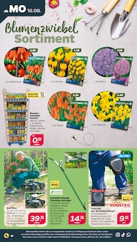 Werkzeug Angebot im aktuellen Netto mit dem Scottie Prospekt auf Seite 18
