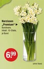 Narzissen "Premium" von  im aktuellen V-Markt Prospekt für 6,99 €