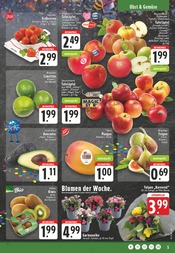 Aktueller EDEKA Prospekt mit Tulpen, "Aktuelle Angebote", Seite 5