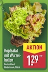 Kopfsalat mit Wurzelballen für 1,29 € bei ALDI Nord im Angebot Kopfsalat mit Wurzelballen im aktuellen ALDI Nord Prospekt