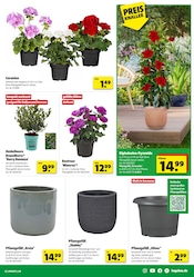 Aktueller Hagebaumarkt Prospekt mit Blumentopf, "So günstig geht das!", Seite 3