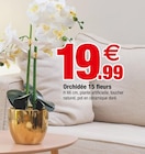 Orchidée 15 fleurs - Bazarland à Pau Orchidée 15 fleurs en promo chez Bazarland Pau à 19,99 €