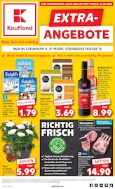 Aktueller Kaufland Supermarkt Prospekt in Bönnigheim und Umgebung, "EXTRA-ANGEBOTE" mit 8 Seiten, 25.09.2025 - 01.10.2025