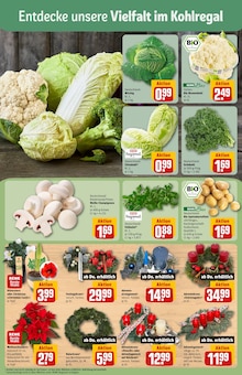 Blumen im aktuellen REWE Prospekt (Darmstadt) Blumen im REWE Prospekt "Dein Markt" mit 36 Seiten (Darmstadt)