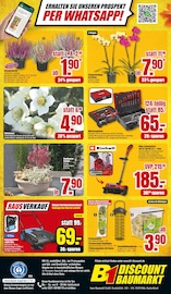 Stauden im B1 Discount Baumarkt Prospekt in Koblenz Aktueller B1 Discount Baumarkt Prospekt mit Stauden, "BESTPREISE DER WOCHE!", Seite 10