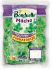 Salade - BONDUELLE dans le catalogue U Express