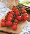 Tomate cerise grappe - U - Super U à Metz Tomate cerise grappe - U en promo chez Super U Metz à 2,99 €