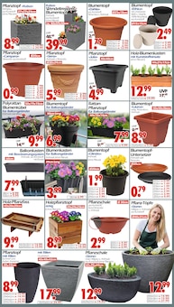 Blumenkasten im Wreesmann Prospekt "DEIN SAISON- & SONDERPOSTENMARKT!" mit 20 Seiten (Dresden)