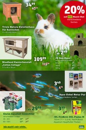 Hase Angebot & Preis im aktuellen Pflanzen Kölle Prospekt Hase Angebot im aktuellen Pflanzen Kölle Prospekt auf Seite 4